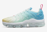 Air Max TN Plus 18 shoes 027