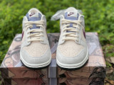 Nike SB Dunk Shoes 126
