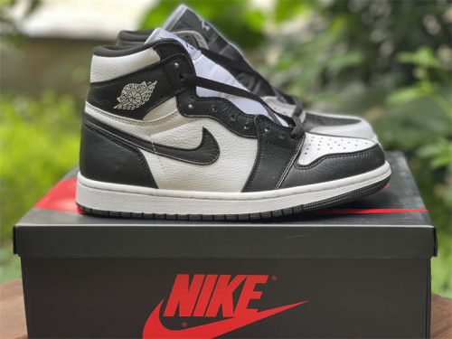 Air Jordan 1 High OG“Invert”