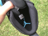 Air Jordan 12  Gamma Blue 