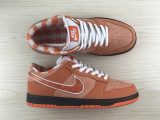 Concepts x Nike SB Dunk Low OG QS