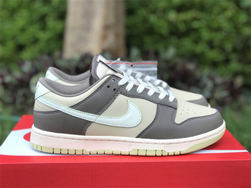 Nike Dunk Low RETRO 009