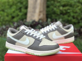 Nike Dunk Low RETRO 009
