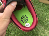 Nike Dunk Low Next Nature 