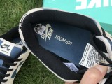 Dunk Sb Low Pro   Light Cream  