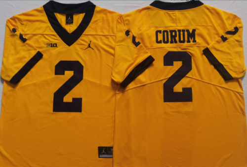 Michigan Wolverines Jerseys 122