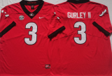 Georgia Bulldogs 008