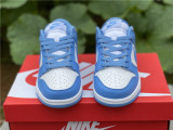 Nike Dunk Low coast 