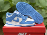 Nike Dunk Low coast 