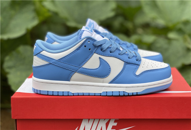 Nike Dunk Low coast 