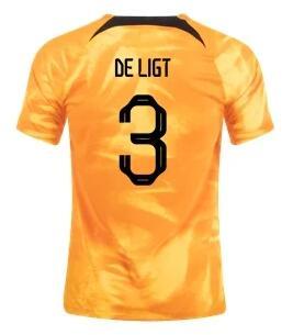 22-23 team soccer jerseys Thai Version 060