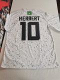 Oregon Ducks 002