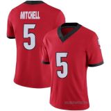 Georgia Bulldogs 065(customize with sec & Nike patch)