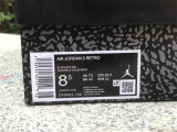 Air Jordan 3 GS “Hide N’ Sneak”