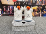Air Jordan 5 SE “Craft”