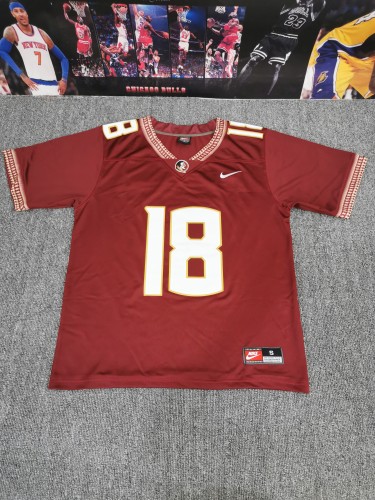 Florida State Seminoles 029