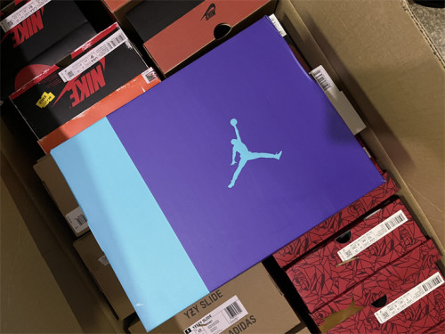 Air Jordan 6 “Aqua” blue & purple 