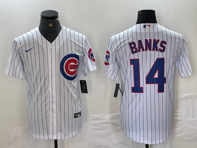 Cubs Jerseys 100