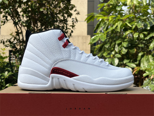 Air Jordan 12“Twist”