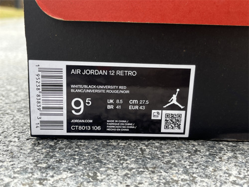 Air Jordan 12“Twist”