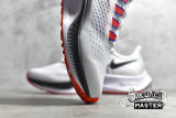 NIKE AIR ZOOM PEGASUS 37 WHITE/CONCORD/BRIGHT CRIMSON/BLACK DD8348-100