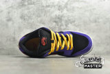 NIKE DUNK LOW PRO SB ACG TERRA BLACK/SUNBURST/VARSITY PURPLE BQ6817-008