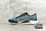 NIKE ZOOM PEGASUS TURBO 2 BLACK/PHANTOM/PUMICE AT2863-006