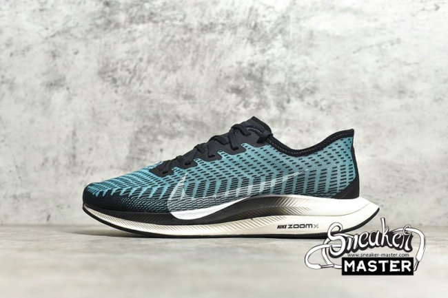 NIKE ZOOM PEGASUS TURBO 2 BLACK/PHANTOM/PUMICE AT2863-006