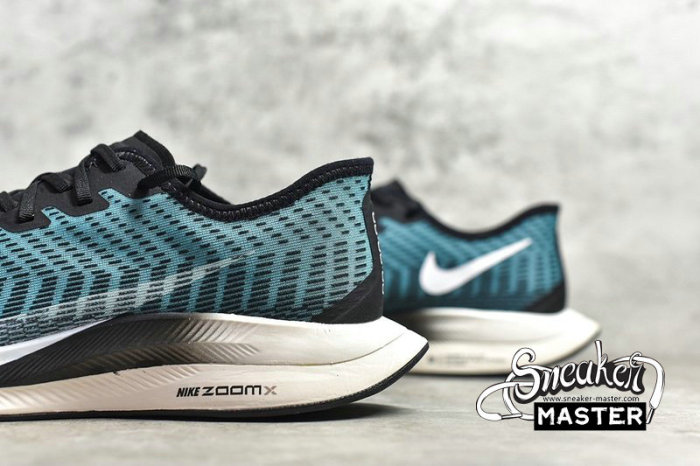 NIKE ZOOM PEGASUS TURBO 2 BLACK/PHANTOM/PUMICE AT2863-006