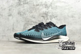 NIKE ZOOM PEGASUS TURBO 2 BLACK/PHANTOM/PUMICE AT2863-006