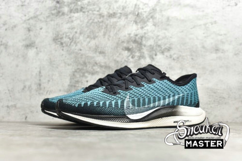 NIKE ZOOM PEGASUS TURBO 2 BLACK/PHANTOM/PUMICE AT2863-006