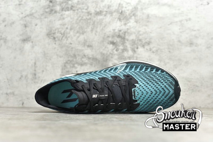 NIKE ZOOM PEGASUS TURBO 2 BLACK/PHANTOM/PUMICE AT2863-006