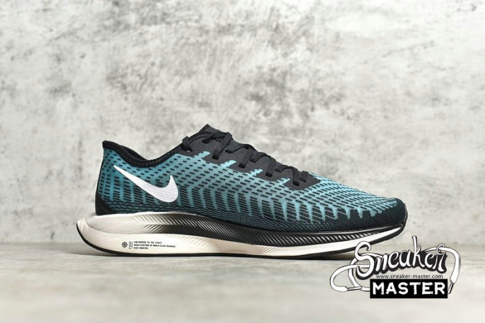 NIKE ZOOM PEGASUS TURBO 2 BLACK/PHANTOM/PUMICE AT2863-006