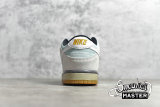 NIKE DUNK LOW PRO SB GULF OF MEXICO GLACIER ICE/WHITE-LIGHT ASH GREY 304292-410
