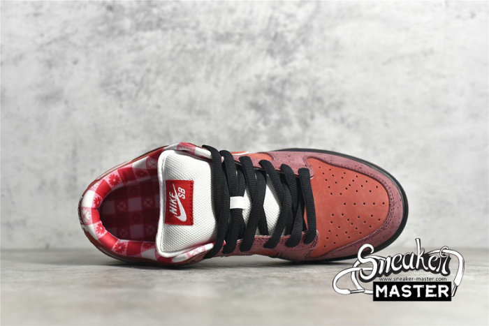 NIKE DUNK LOW PREMIUM SB LOBSTER SPORT RED/PINK CLAY 313170-661