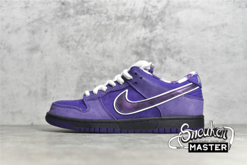 NIKE CONCEPTS X DUNK LOW SB PURPLE LOBSTER VOLTAGE PURPLE/COURT PURPLE-VOLTAGE PURPLE BV1310-555