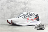 NIKE AIR ZOOM PEGASUS 38 PURE PLATINUM/WOLF GREY/IRON GREY/CHILE RED CW7356-004