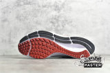 NIKE AIR ZOOM PEGASUS 38 PURE PLATINUM/WOLF GREY/IRON GREY/CHILE RED CW7356-004