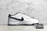 NIKE SB DUNK LOW WHITE/WHITE/PHOTON DUST DD1503-113
