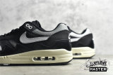 NIKE AIR MAX 1 X PATTA METALLIC SILVER/WHITE/BLACK/COCONUT MILK DQ0299-001