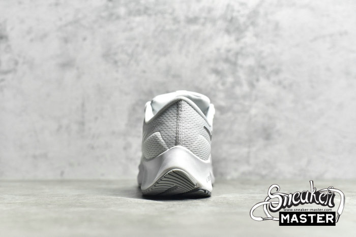 NIKE AIR ZOOM PEGASUS 38 WHITE/PURE PLATINUM/WOLF GREY/METALLIC SILVER CW7358-100