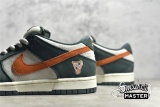 NIKE DUNK LOW PRO SB EIRE NET/DEEP ORANGE 304292-185