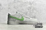 NIKE SB DUNK LOW GREY/GREY/GREEN 316272-526