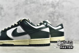 NIKE SB DUNK LOW RETRO VINTAGE GREEN/VINTAGE GREEN/WHITE DQ8580-100
