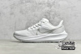 NIKE AIR ZOOM PEGASUS 39 WHITE/WHITE/METALLIC SILVER DH4071-100