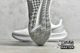 NIKE AIR ZOOM PEGASUS 39 WHITE/WHITE/METALLIC SILVER DH4071-100