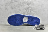NIKE DUNK LOW PRO SB MATTE SILVER/VARSITY ROYAL/WHITE 304292-040