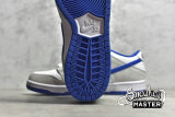 NIKE DUNK LOW PRO SB MATTE SILVER/VARSITY ROYAL/WHITE 304292-040