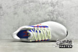 NIKE AIR ZOOM PEGASUS 39 WHITE/BLUE/RED DX3354-100