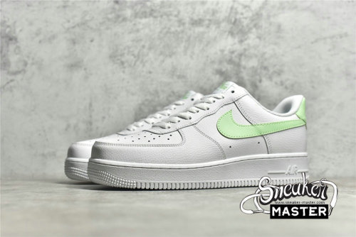NIKE AIR FORCE 1 LOW GS WHITE/WHITE/MINT GREEN CT3839-105